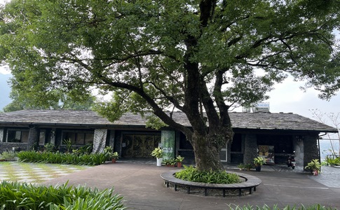 IMG_7956.jpeg IMG_7956.jpeg