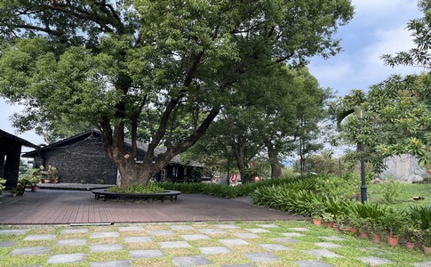 IMG_7959.jpeg IMG_7959.jpeg