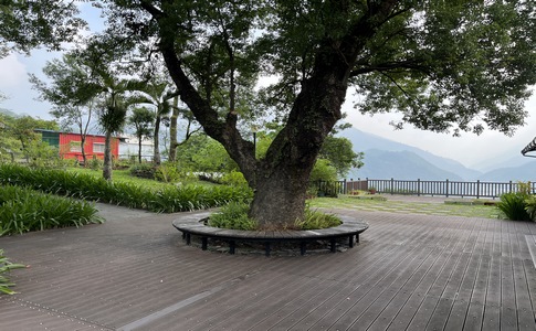 IMG_7961.jpeg IMG_7961.jpeg