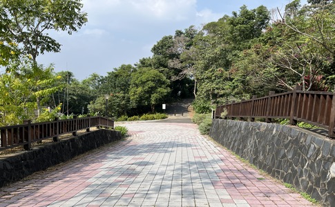 IMG_7917.jpeg IMG_7917.jpeg