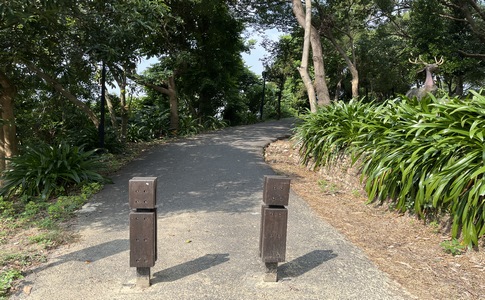 IMG_7921.jpeg IMG_7921.jpeg