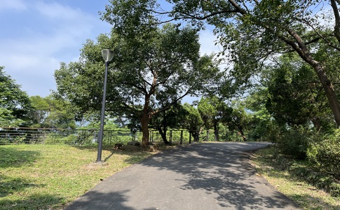 IMG_7922.jpeg IMG_7922.jpeg