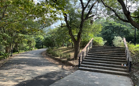 IMG_7923.jpeg IMG_7923.jpeg