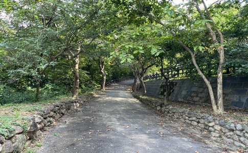 IMG_7930.jpeg IMG_7930.jpeg