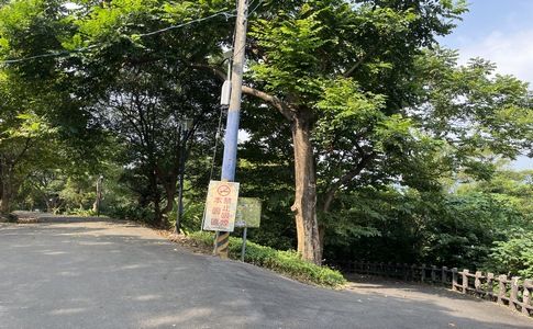 IMG_7932.jpeg IMG_7932.jpeg