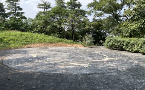 IMG_7933.jpeg IMG_7933.jpeg