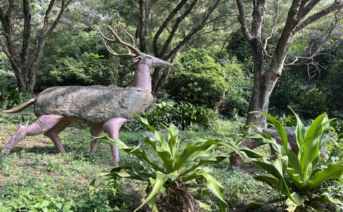 IMG_7935.jpeg IMG_7935.jpeg