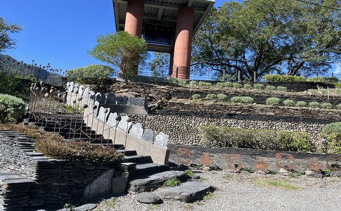 IMG_7889.jpeg IMG_7889.jpeg