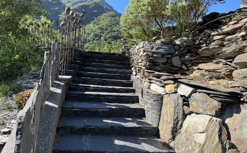 IMG_7890.jpeg IMG_7890.jpeg