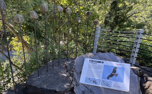 IMG_7891.jpeg IMG_7891.jpeg