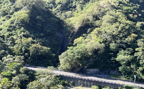 IMG_7898.jpeg IMG_7898.jpeg