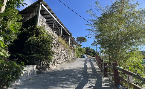 IMG_7817.jpeg IMG_7817.jpeg