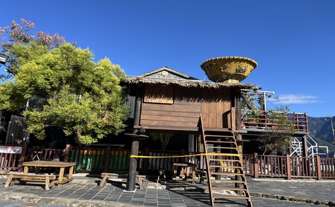 IMG_7841.jpeg IMG_7841.jpeg