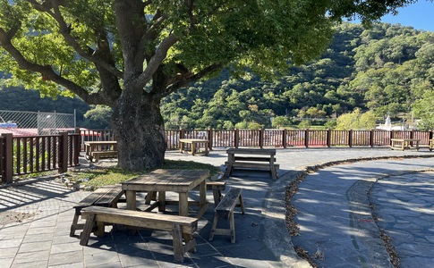 IMG_7844.jpeg IMG_7844.jpeg