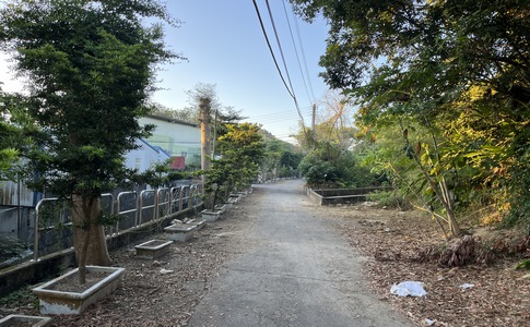 IMG_8009.jpeg IMG_8009.jpeg