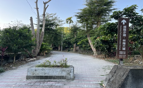 IMG_8010.jpeg IMG_8010.jpeg