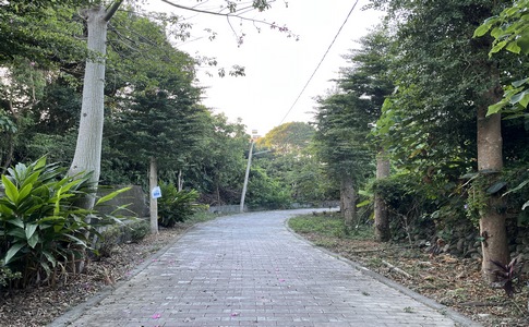 IMG_8011.jpeg IMG_8011.jpeg