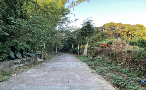 IMG_8012.jpeg IMG_8012.jpeg