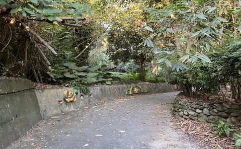 IMG_8016.jpeg IMG_8016.jpeg