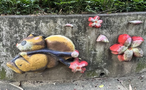 IMG_8017.jpeg IMG_8017.jpeg