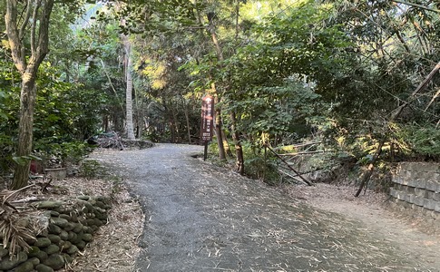 IMG_8018.jpeg IMG_8018.jpeg