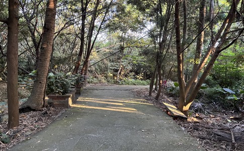 IMG_8019.jpeg IMG_8019.jpeg