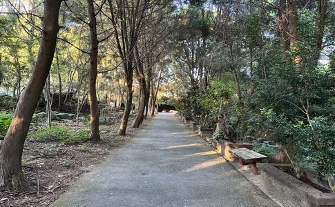 IMG_8020.jpeg IMG_8020.jpeg