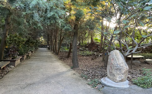 IMG_8021.jpeg IMG_8021.jpeg