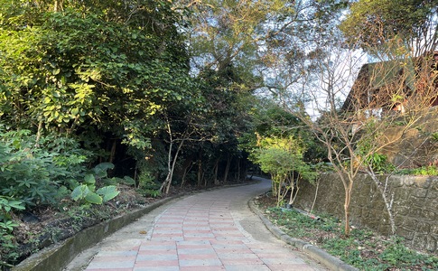 IMG_8023.jpeg IMG_8023.jpeg