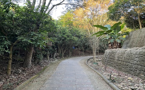 IMG_8025.jpeg IMG_8025.jpeg