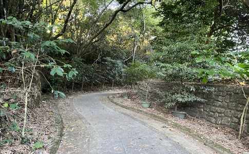 IMG_8027.jpeg IMG_8027.jpeg