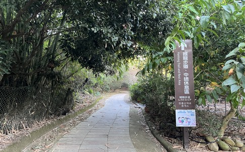 IMG_8029.jpeg IMG_8029.jpeg