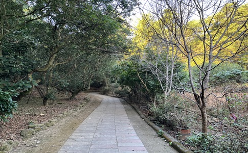 IMG_8030.jpeg IMG_8030.jpeg