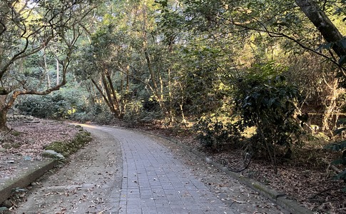 IMG_8031.jpeg IMG_8031.jpeg