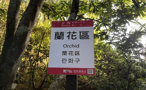 IMG_8032.jpeg IMG_8032.jpeg