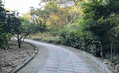 IMG_8033.jpeg IMG_8033.jpeg