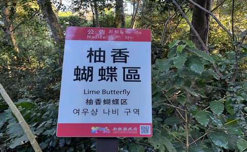 IMG_8034.jpeg IMG_8034.jpeg