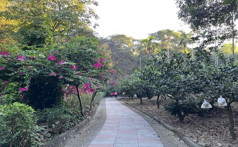 IMG_8035.jpeg IMG_8035.jpeg