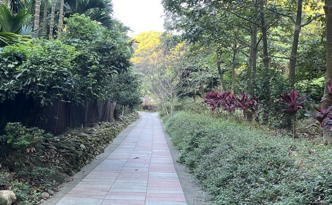 IMG_8036.jpeg IMG_8036.jpeg