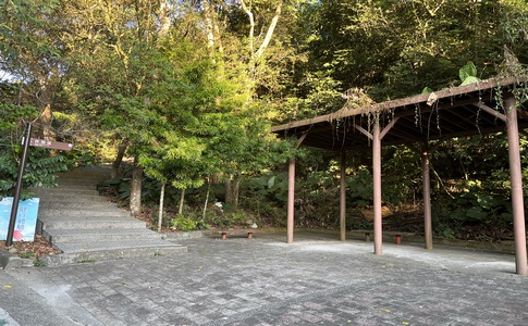 IMG_8041.jpeg IMG_8041.jpeg