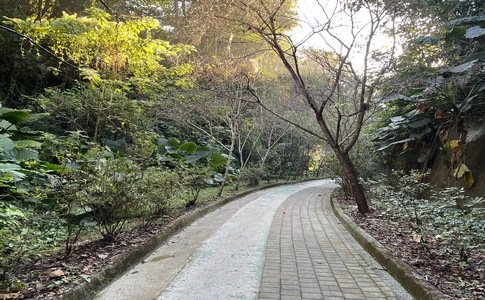 IMG_8043.jpeg IMG_8043.jpeg