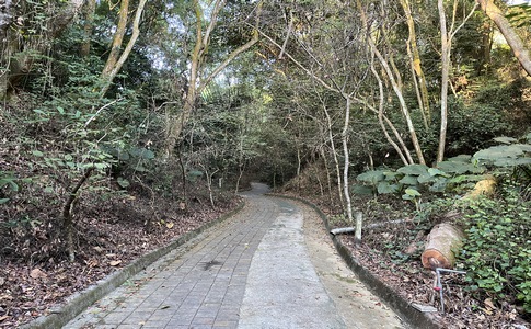 IMG_8044.jpeg IMG_8044.jpeg