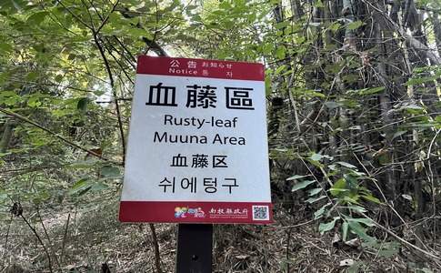 IMG_8045.jpeg IMG_8045.jpeg