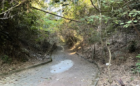 IMG_8046.jpeg IMG_8046.jpeg