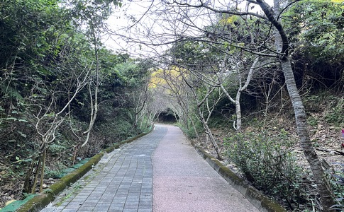 IMG_8047.jpeg IMG_8047.jpeg