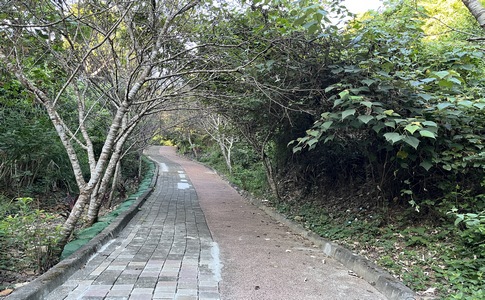 IMG_8048.jpeg IMG_8048.jpeg