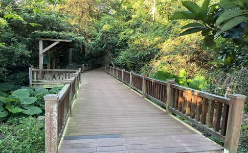 IMG_8049.jpeg IMG_8049.jpeg