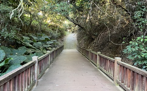 IMG_8051.jpeg IMG_8051.jpeg