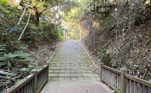 IMG_8053.jpeg IMG_8053.jpeg