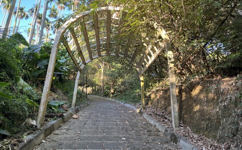 IMG_8054.jpeg IMG_8054.jpeg